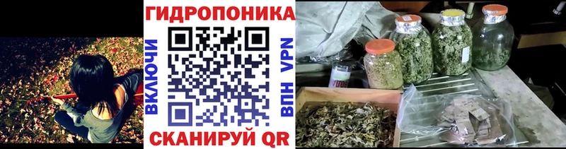 shop формула  наркошоп  Бутурлиновка  Бошки марихуана ГИДРОПОН 